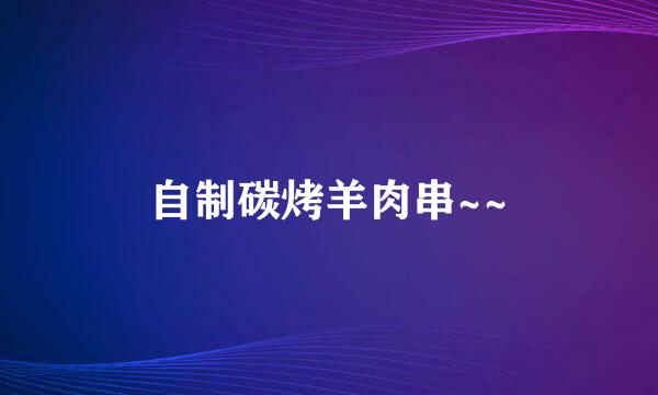 自制碳烤羊肉串~~