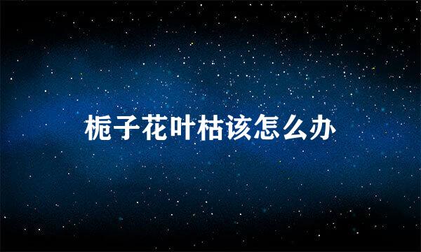 栀子花叶枯该怎么办