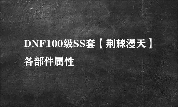 DNF100级SS套【荆棘漫天】各部件属性