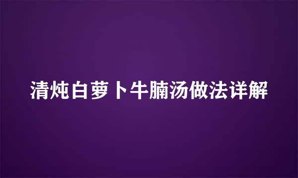 清炖白萝卜牛腩汤做法详解