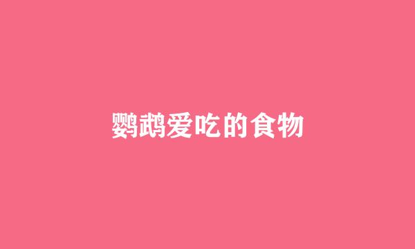 鹦鹉爱吃的食物