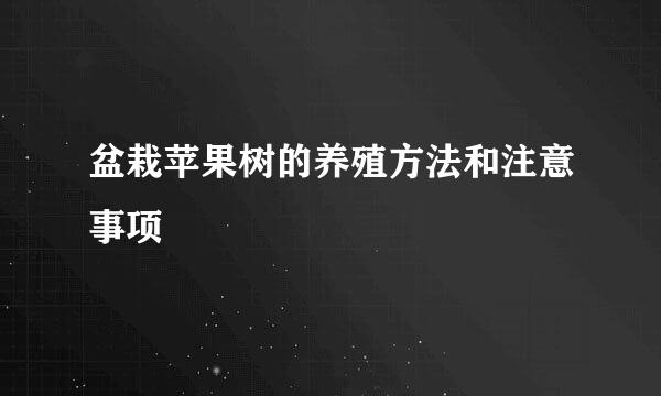 盆栽苹果树的养殖方法和注意事项
