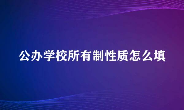 公办学校所有制性质怎么填