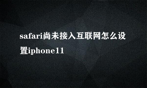 safari尚未接入互联网怎么设置iphone11