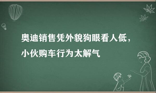 奥迪销售凭外貌狗眼看人低，小伙购车行为太解气