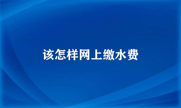 该怎样网上缴水费