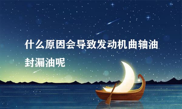 什么原因会导致发动机曲轴油封漏油呢