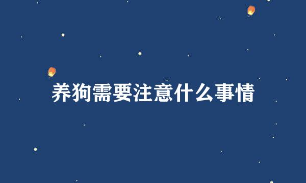 养狗需要注意什么事情