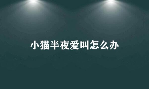 小猫半夜爱叫怎么办
