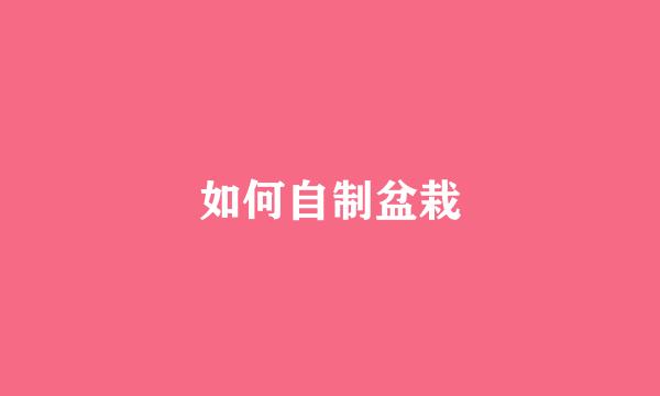 如何自制盆栽