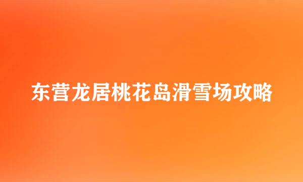 东营龙居桃花岛滑雪场攻略