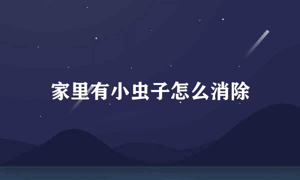 家里有小虫子怎么消除