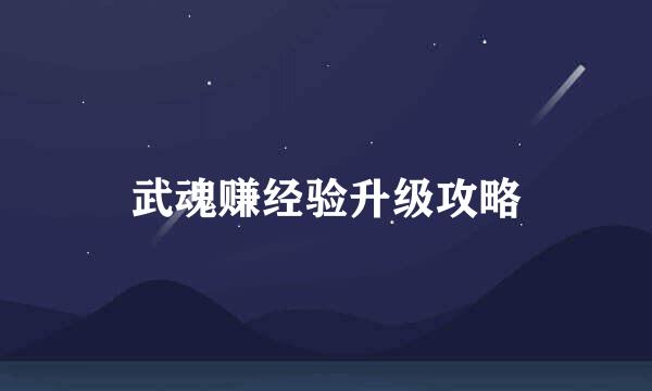 武魂赚经验升级攻略