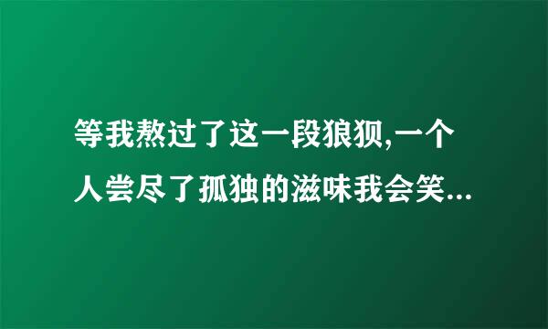 等我熬过了这一段狼狈,一个人尝尽了孤独的滋味我会笑着和这个世界是啥歌