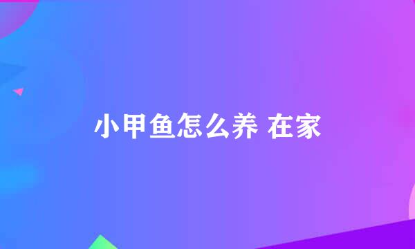 小甲鱼怎么养 在家