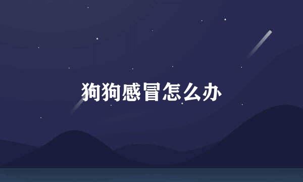 狗狗感冒怎么办