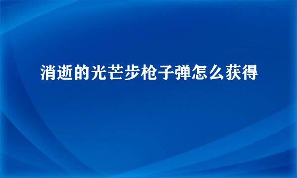 消逝的光芒步枪子弹怎么获得