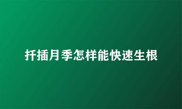 扦插月季怎样能快速生根