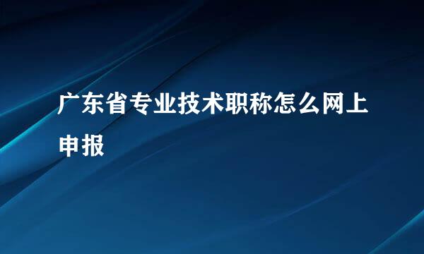 广东省专业技术职称怎么网上申报