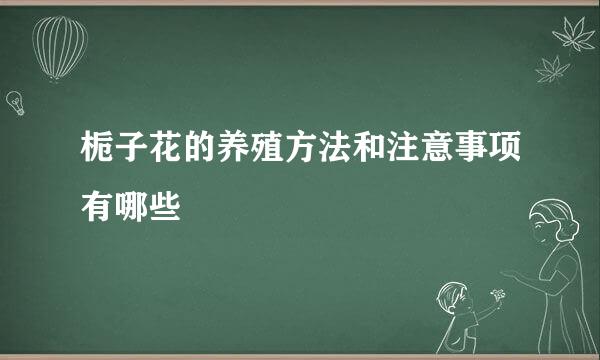 栀子花的养殖方法和注意事项有哪些