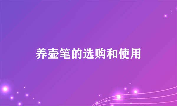 养壶笔的选购和使用