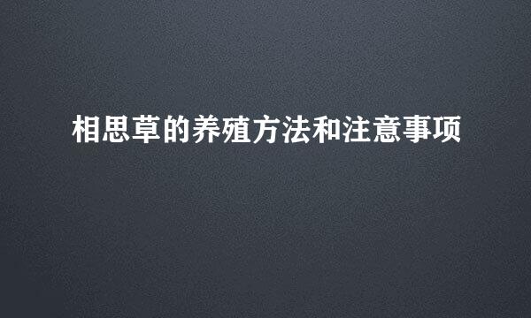 相思草的养殖方法和注意事项