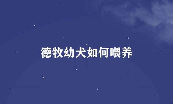 德牧幼犬如何喂养