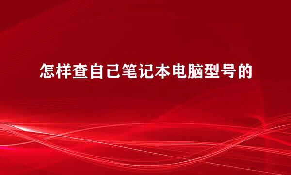 怎样查自己笔记本电脑型号的