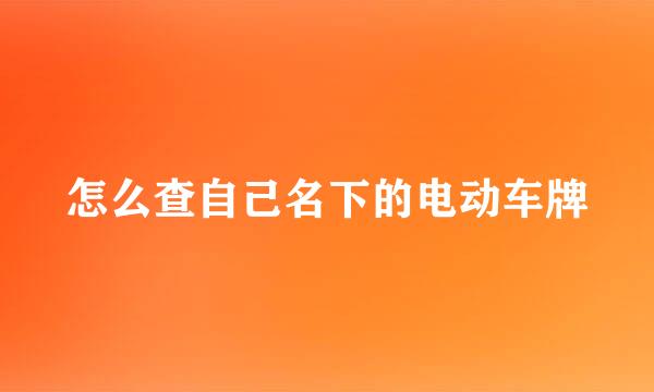怎么查自己名下的电动车牌