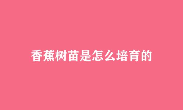 香蕉树苗是怎么培育的