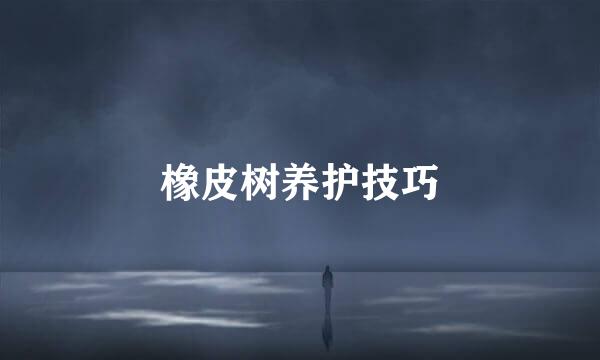 橡皮树养护技巧