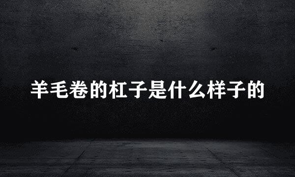 羊毛卷的杠子是什么样子的