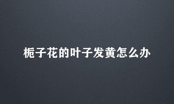 栀子花的叶子发黄怎么办