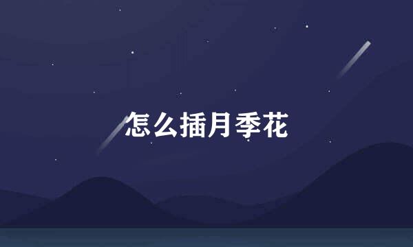 怎么插月季花