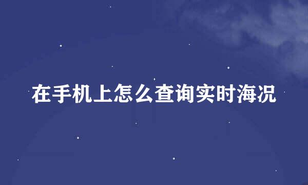 在手机上怎么查询实时海况