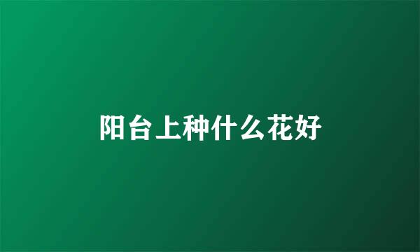 阳台上种什么花好