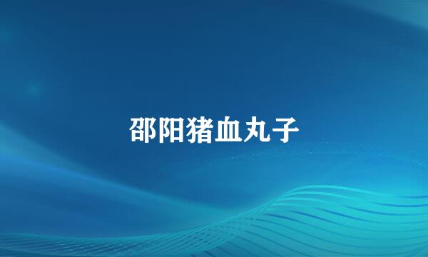 邵阳猪血丸子
