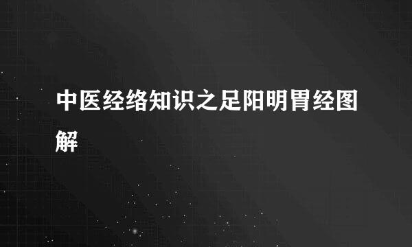 中医经络知识之足阳明胃经图解