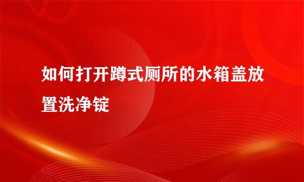 如何打开蹲式厕所的水箱盖放置洗净锭