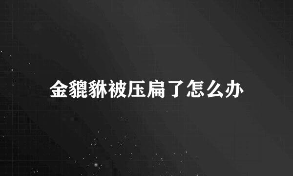 金貔貅被压扁了怎么办