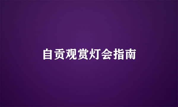 自贡观赏灯会指南