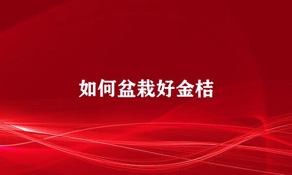 如何盆栽好金桔