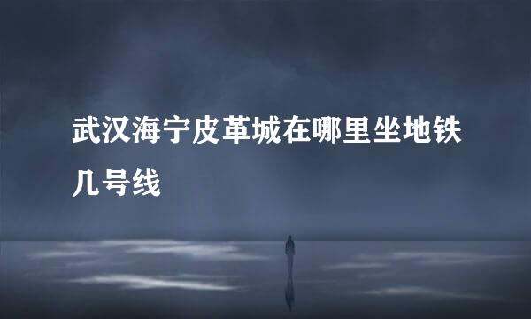 武汉海宁皮革城在哪里坐地铁几号线