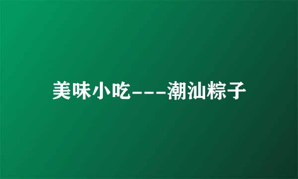 美味小吃---潮汕粽子