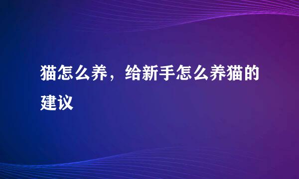 猫怎么养,给新手怎么养猫的建议