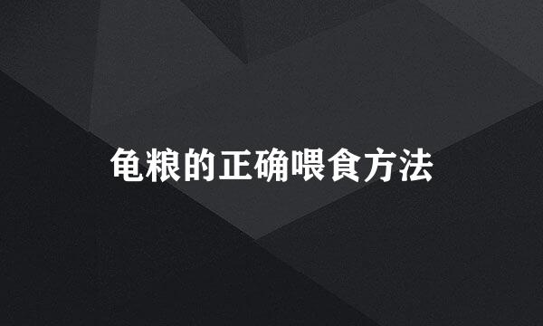 龟粮的正确喂食方法