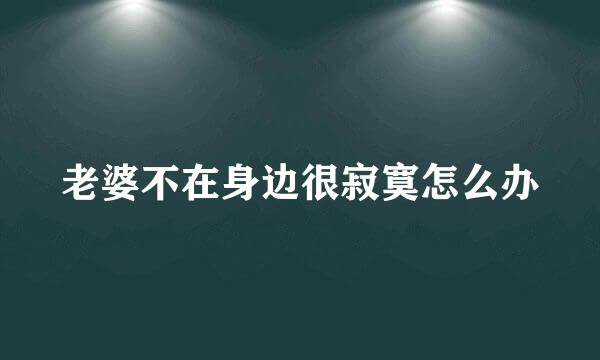 老婆不在身边很寂寞怎么办
