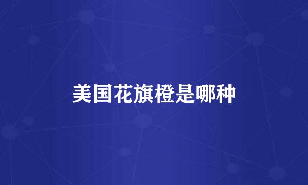 美国花旗橙是哪种