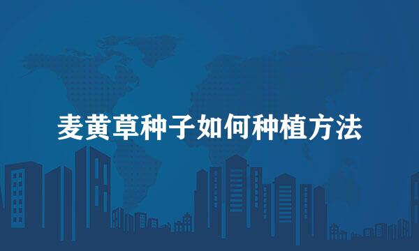 麦黄草种子如何种植方法