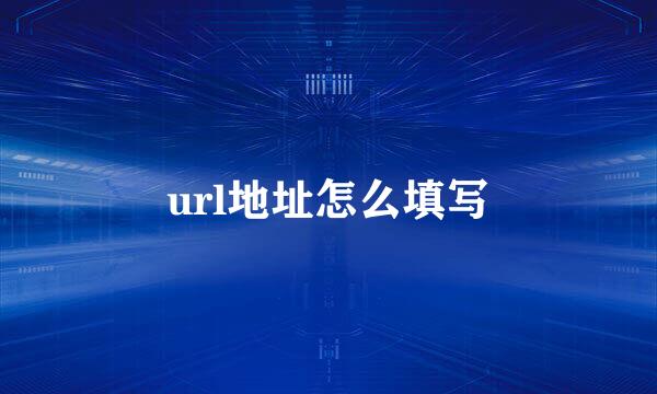 url地址怎么填写